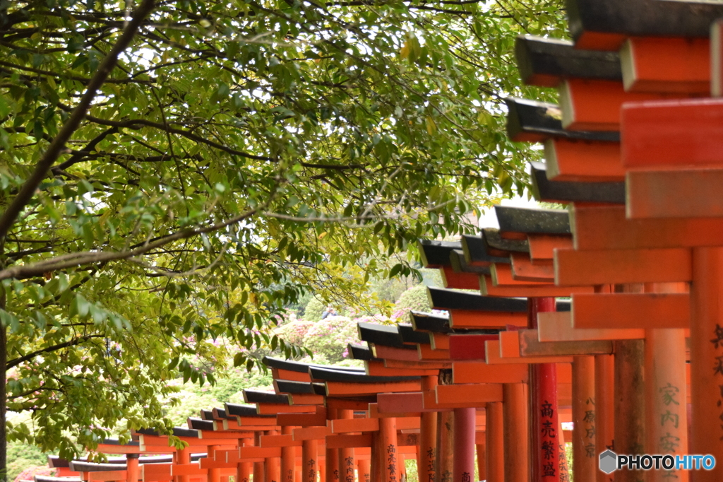 根津神社