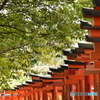 根津神社