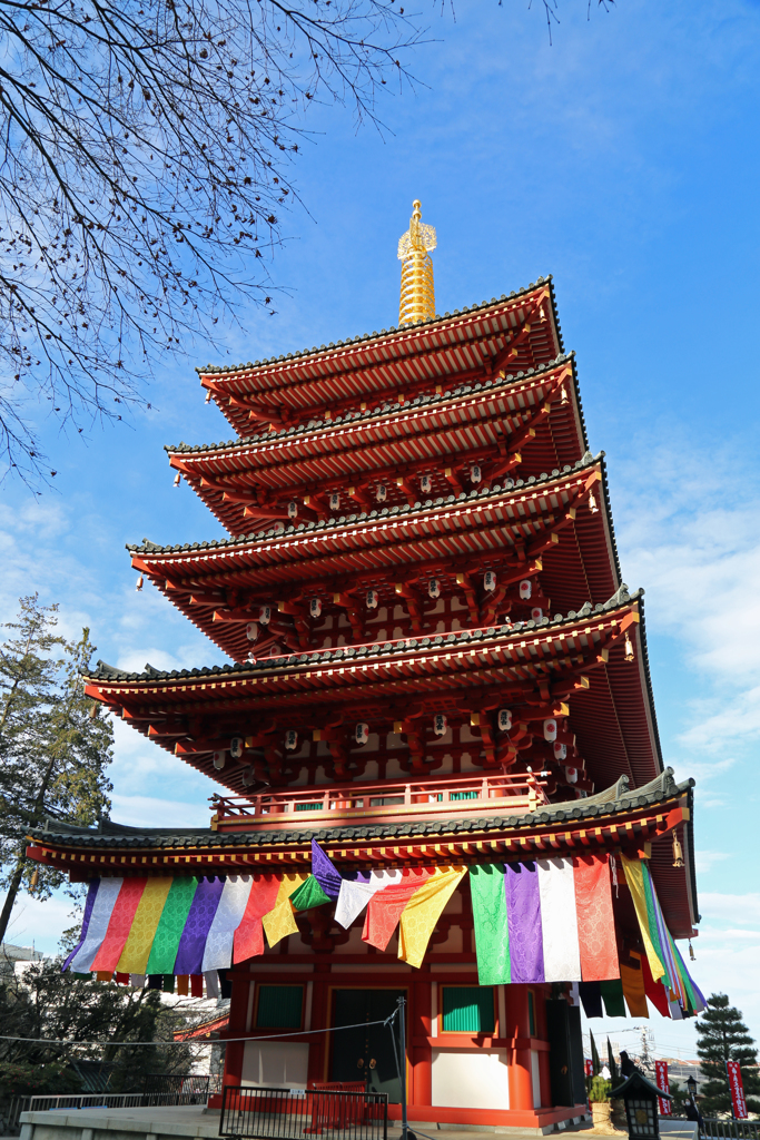 2017年初詣　高幡不動尊