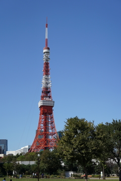 お昼休みに一枚