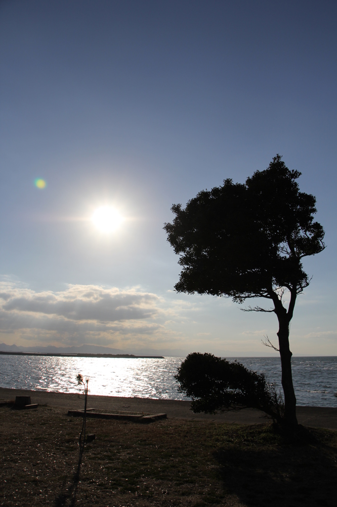 夕日前の海岸