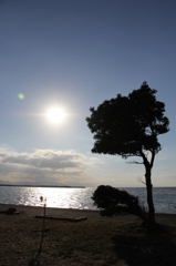 夕日前の海岸