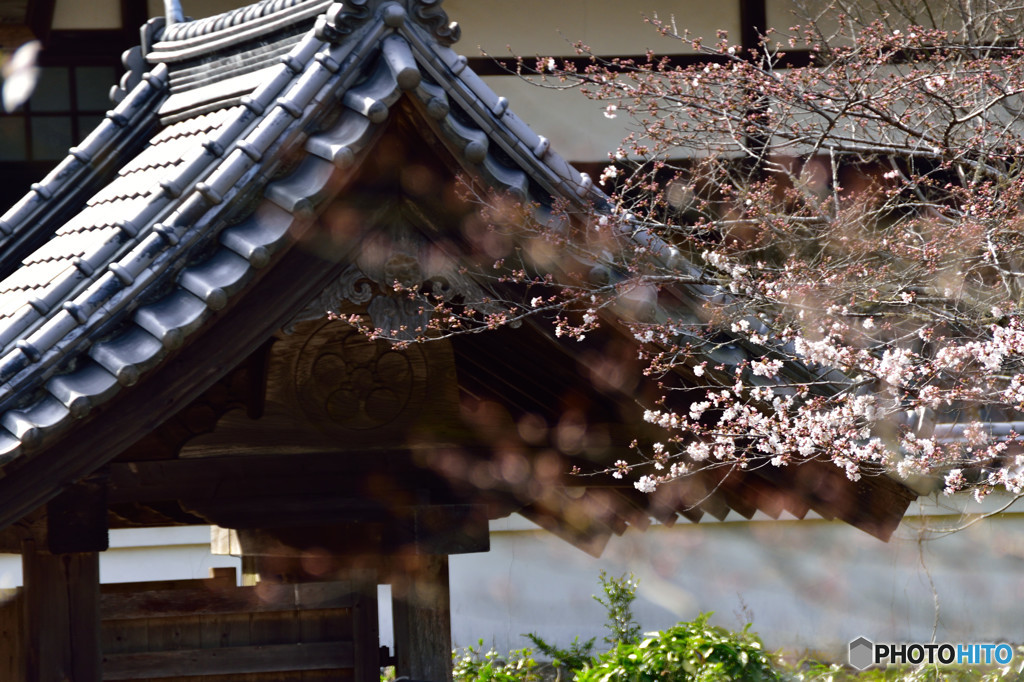 寺にて