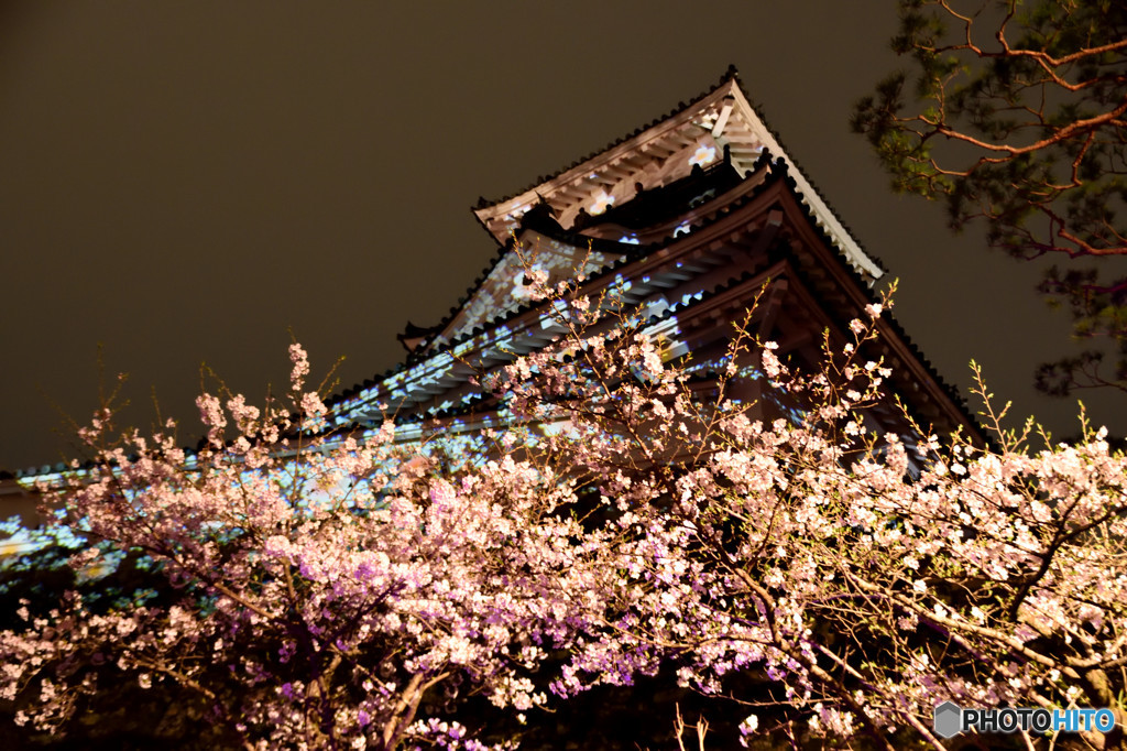 春の夜の夢　参