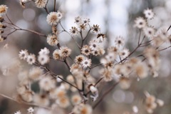 20180204