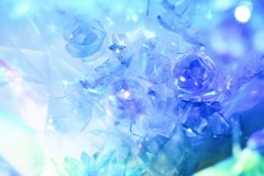 frozen flowers