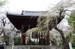 増上寺