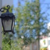 SEP049