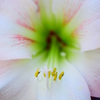 May10