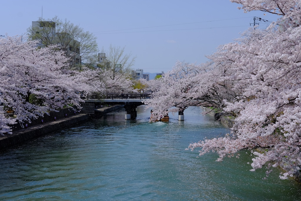 '18春　岡崎水道