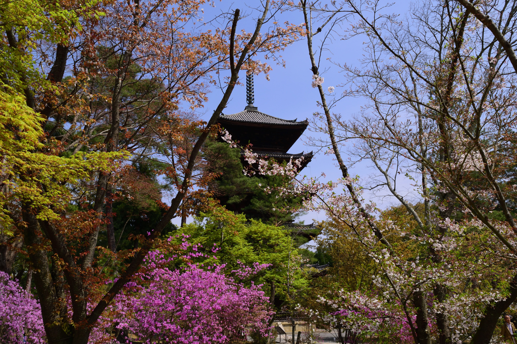 仁和寺
