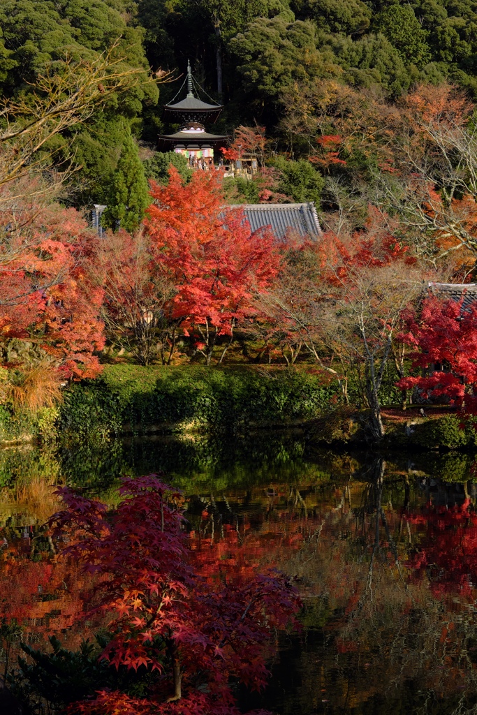 ’17秋の禅林寺