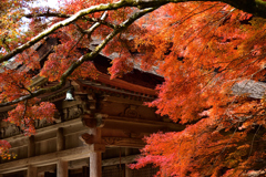 勝林院
