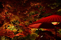 永観堂の紅葉_7