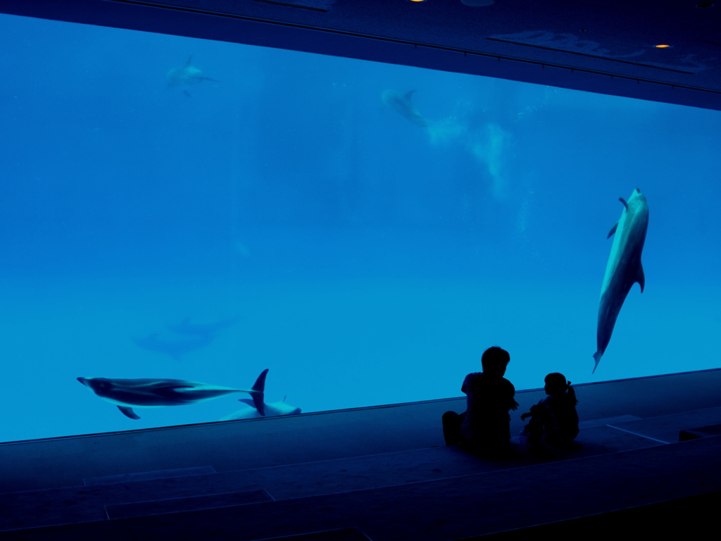 水族館