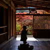 高山寺1