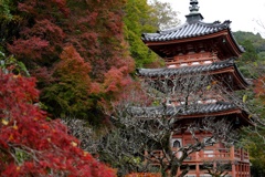 ’18秋 三室戸寺