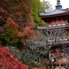’18秋 三室戸寺