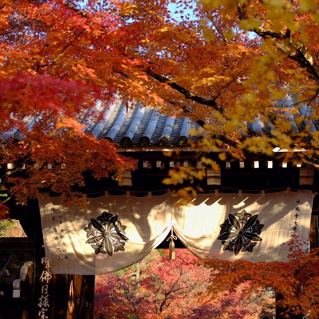 ’17秋の禅林寺