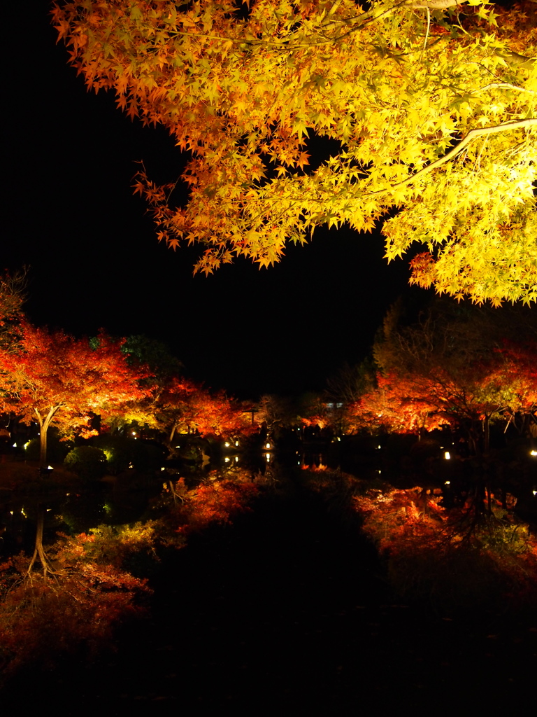 東寺'15夜