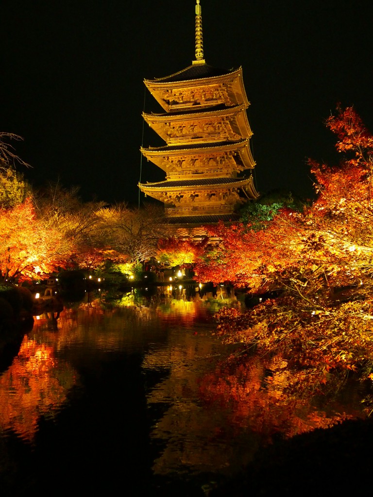 東寺 夜 By Kaku 2 Id 写真共有サイト Photohito