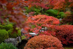 ’18秋 三室戸寺お庭