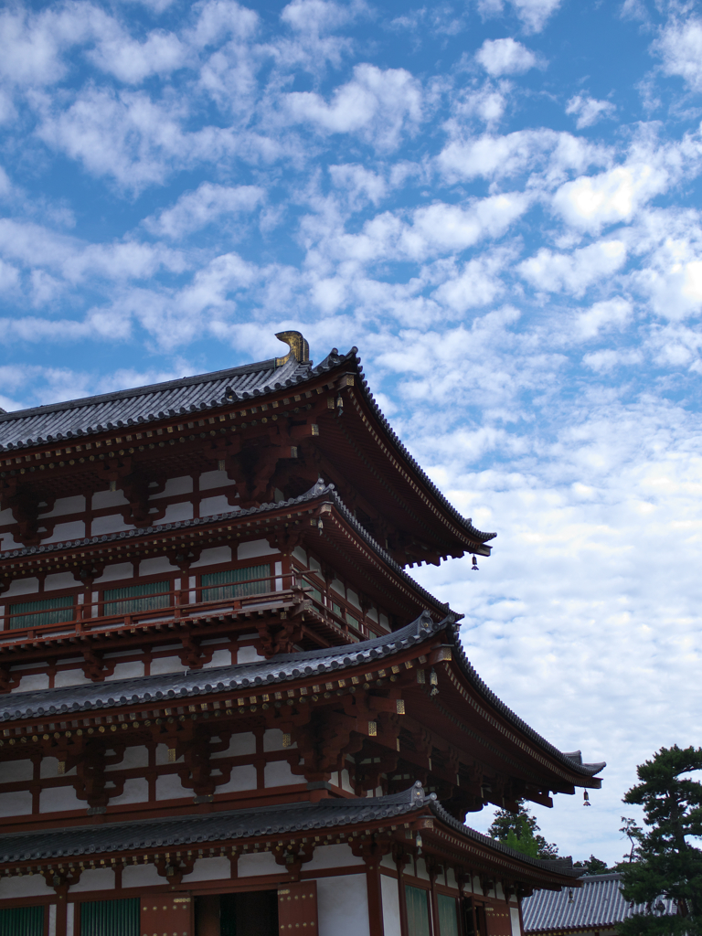 薬師寺2