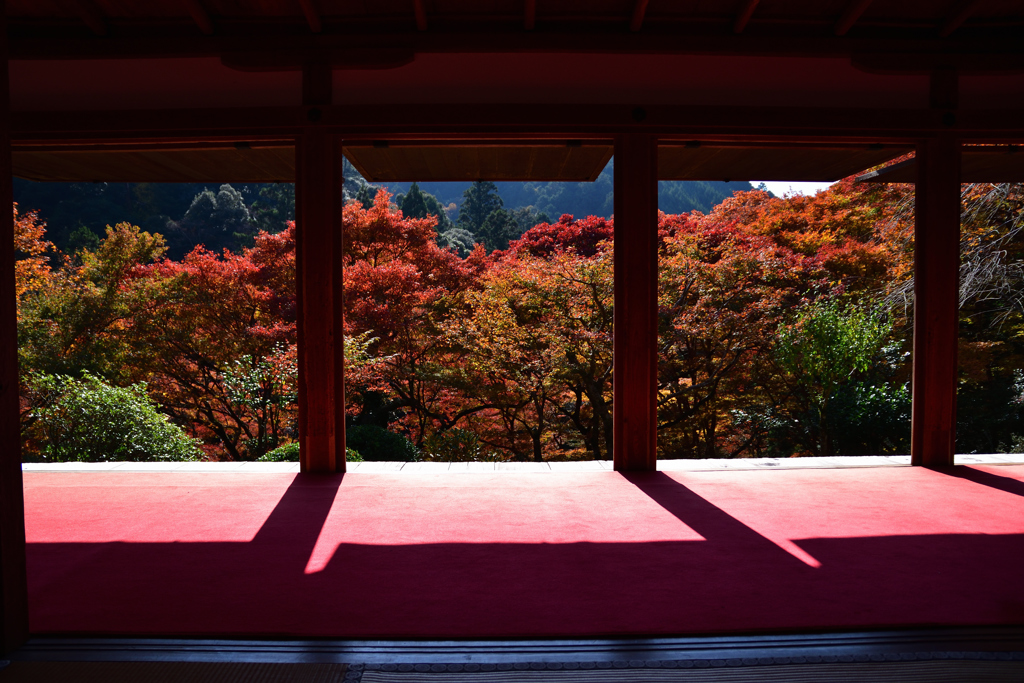 高山寺2