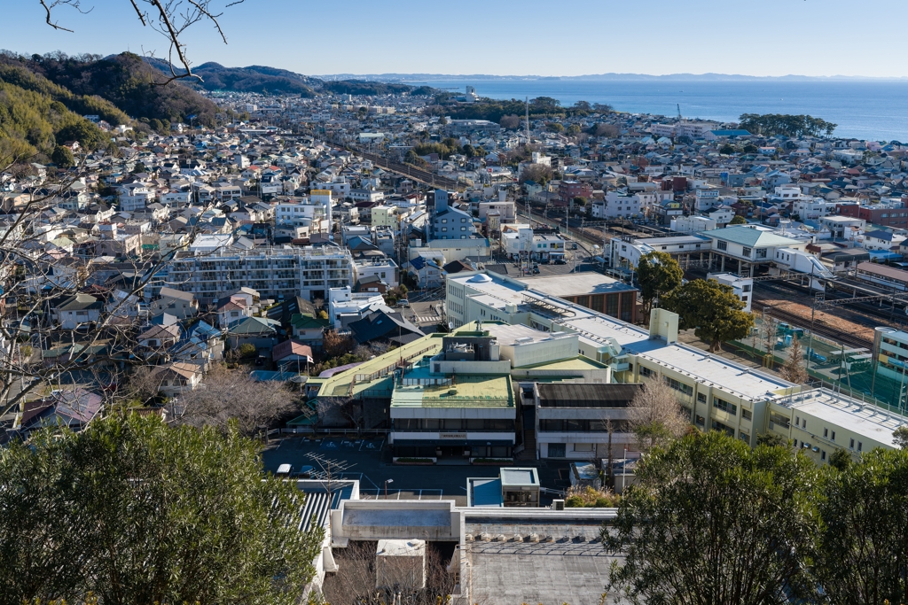 吾妻山公園から