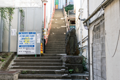 横須賀スナップ