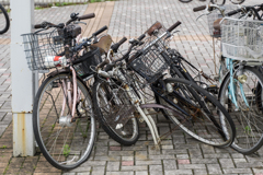 横浜市金沢区・スナップ写真