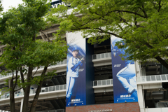 横浜公園