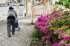 横浜市金沢区・スナップ写真