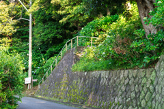あじさい公園