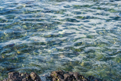 冬の海の透明度