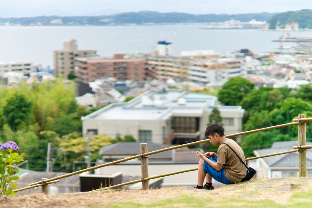 あじさい公園