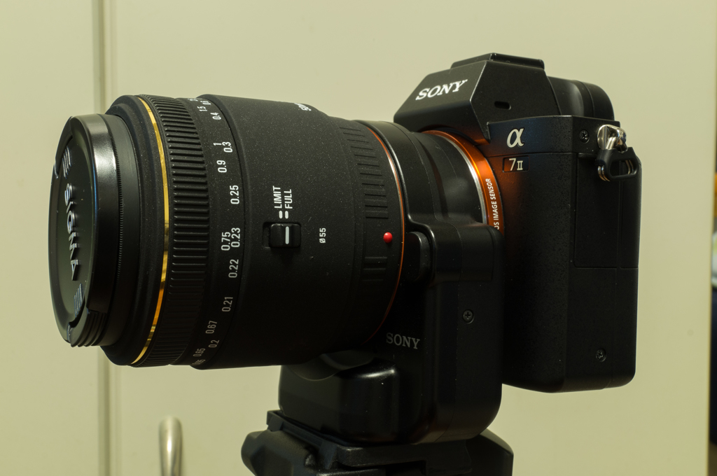 α7Ⅱ+シグマ50mmマクロ