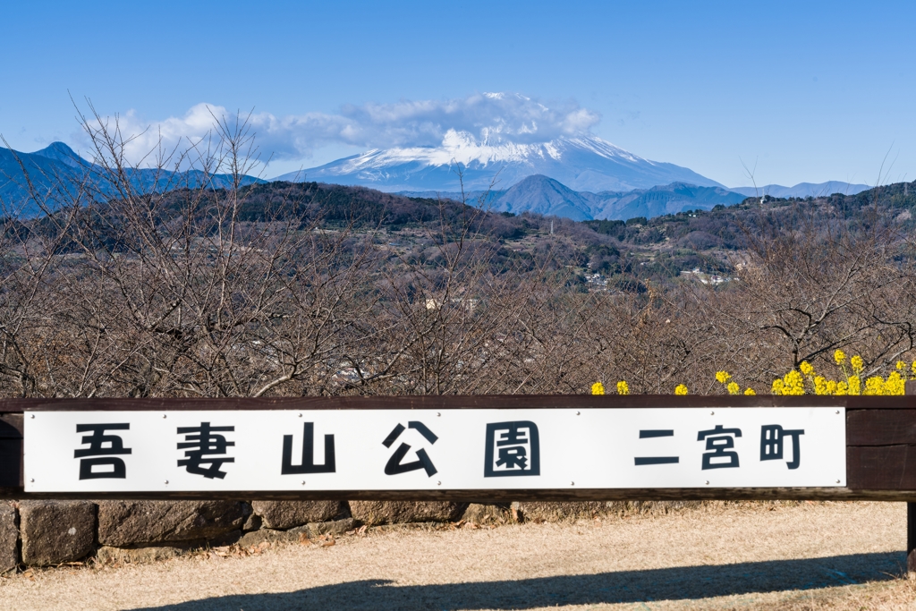 吾妻山公園