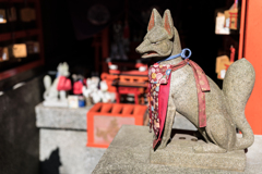 横須賀スナップ