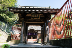 横須賀スナップ