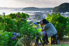 あじさい公園