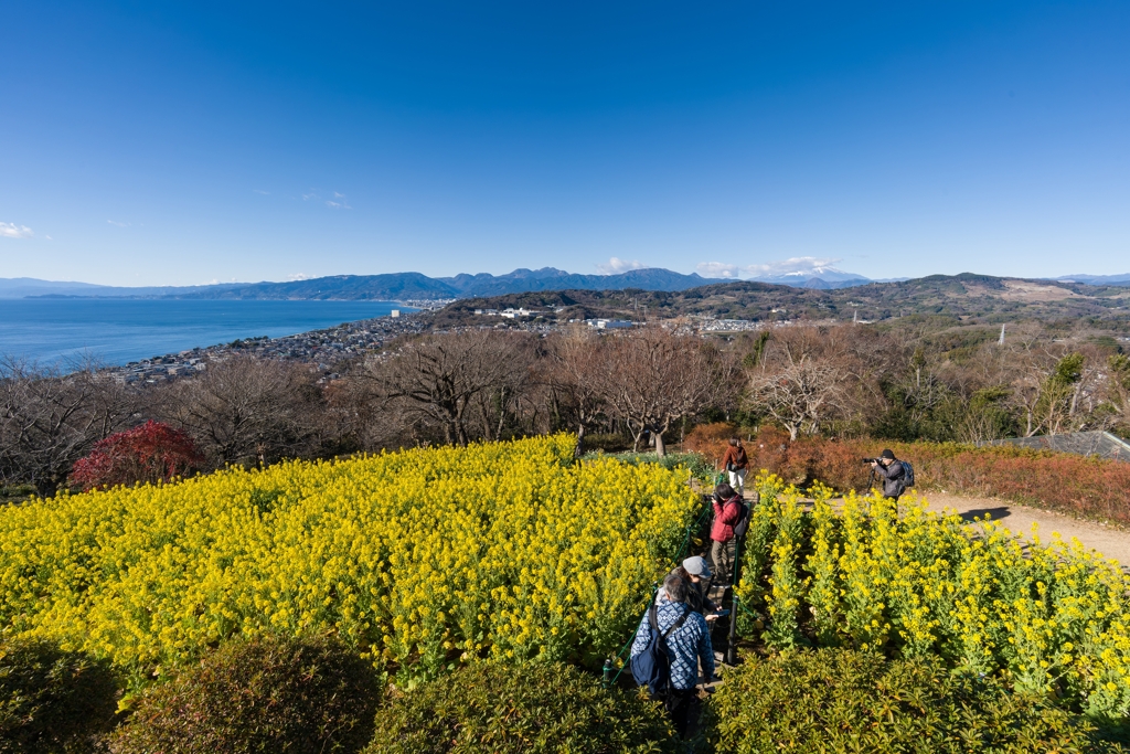 吾妻山公園
