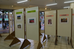 第４７回湘南ひらつか観光風景写真コンクール作品展