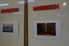 第４７回湘南ひらつか観光風景写真コンクール作品展