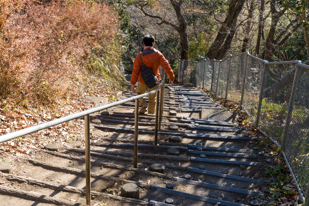 吾妻山公園 階段