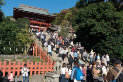 鶴岡八幡宮