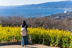 吾妻山公園