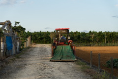 下地島　スナップ