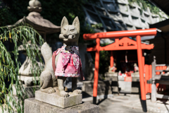 横須賀スナップ
