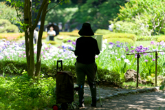 皇居　二の丸庭園